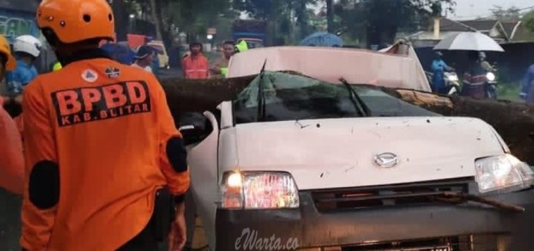 Mobil Tertimpa Pohon, Dua Kakak Beradik Tewas di Lokasi Kejadian