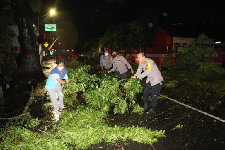 Respons Cepat Polres Blitar Kota Evakuasi Pohon Tumbang di Sejumlah Lokasi