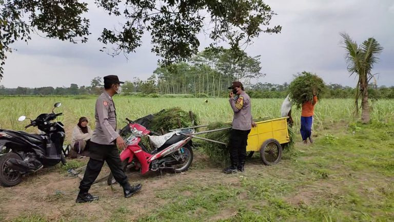 Cegah Gangguan Kamtibmas, Polsek Ponggok Gelar Patroli Di Area Persawahan