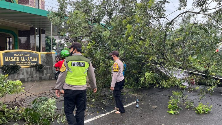 Polsek Sanankulon Bersama Warga Bersihkan Pohon Tumbang