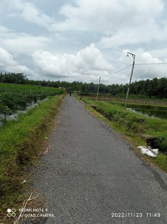 TUNJANG SEKTOR PERTANIAN , DESA NGORAN ALOKASIKAN DANA DESA UNTUK PENGASPALAN JALAN USAHA TANI