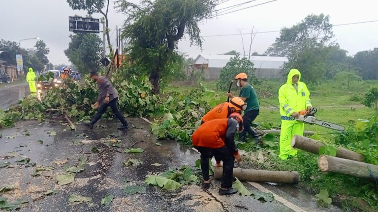 Polsek Srengat Sigap Evakuasi Pohon Tumbang di Jalan Raya Poluhan Dan Desa Krejen