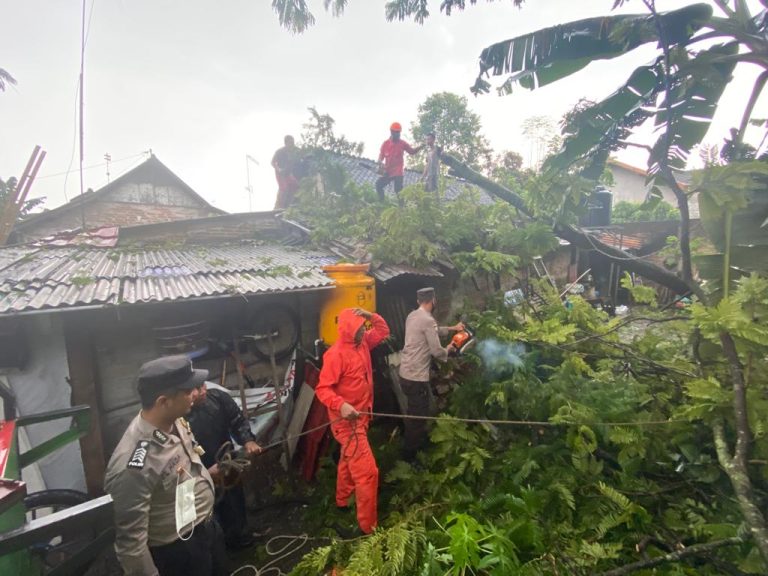 Respon Sigap Polsek Kepanjenkidul Evakuasi Pohon Tumbang