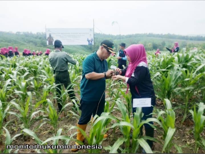 llKP KPH Padangan Lakukan Gerakan Menanam Pohon Indonesia