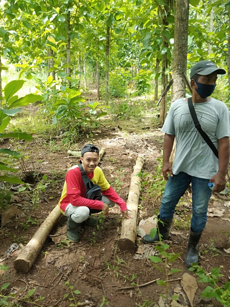 Lambannya Penanganan Aksi Maraknya Pencurian Kayu, Kembali Terjadi di KPH Blitar.