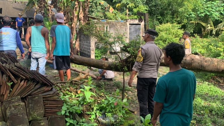 ANGGOTA POLSEK PONGGOK EVAKUASI POHON TUMBANG