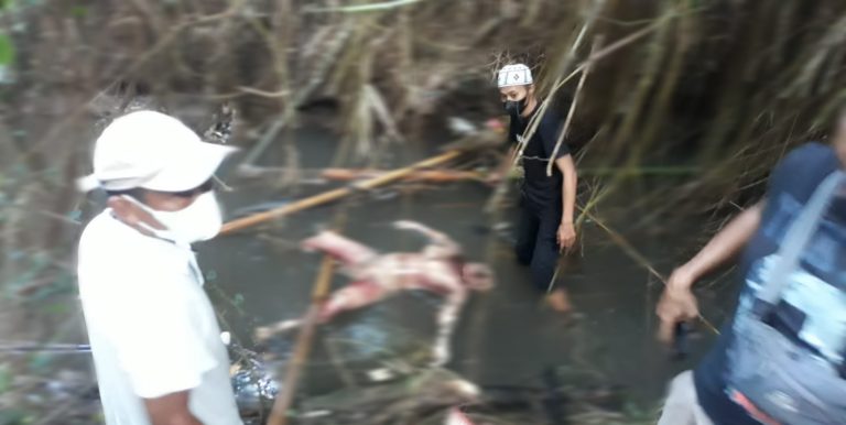 Penemuan Mayat Perempuan Tanpa Identitas Di Sungai Lahar Perbatasan  Bendosari – Kuntulan Sanankulon