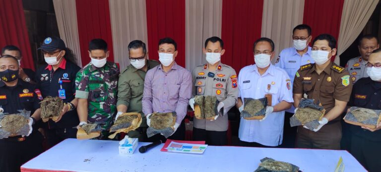 Polres Jember Bersama Forkopimda Musnahkan BB 10 Kg Ganja Hasil Ungkap Jaringan Antar Propinsi