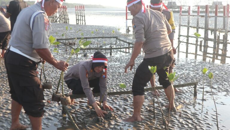 Cegah Abrasi Polisi Tanam Bibit Pohon Mangrove di Pantai Ekowisata Mangrove Lembung Pamekasan 