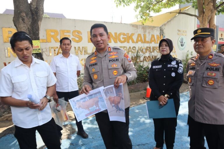 Polres Bangkalan Tangkap  Maling Sapi Milik Petani Kecil Sampai ke NTB