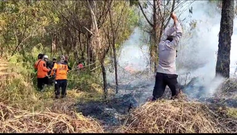 Polisi dan Petugas Gabungan Berhasil Padamkan Karthula di Kawasan TNBTS Ranupani Lumajang