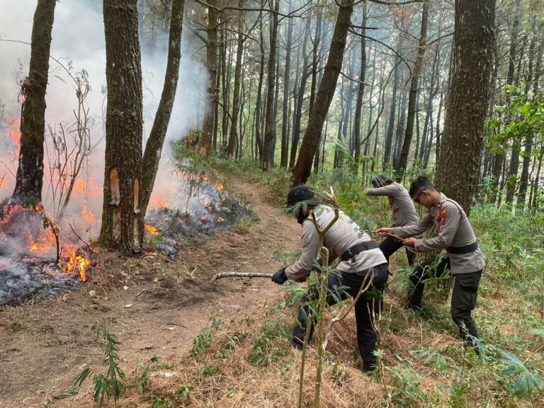 Sinergitas Polres Ngawi Bersama TNI dan Pemkab Upaya Padamkan Api di Lereng Gunung Lawu