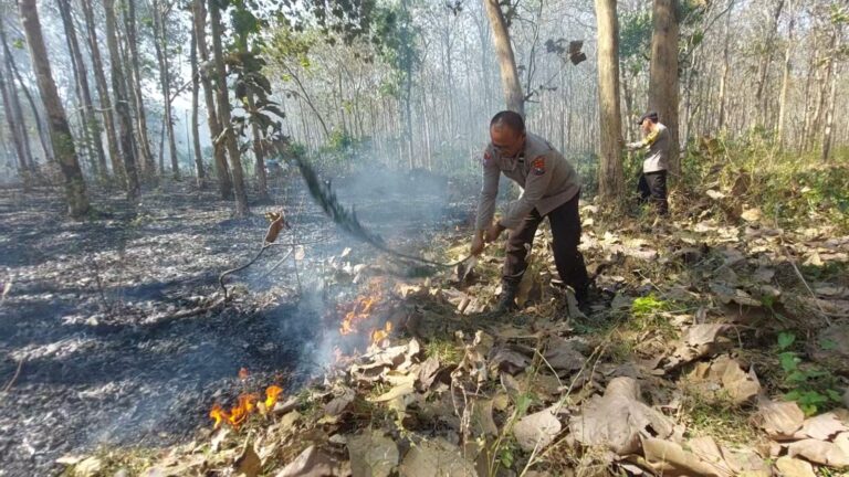 Polisi dan Petugas Gabungan Berhasil Padamkan Kebakaran Hutan Jati di Kabupaten Malang