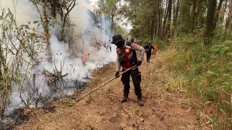 Sinergi Polres Magetan Bersama Instansi Terkait Serta Relawan, Atasi Kebakaran di Gunung Lawu