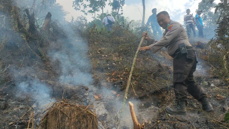 Sinergitas Polisi bersama TNI dan BPBD Padamkan Kebakaran di Perkebunan Gunung Terong Banyuwangi