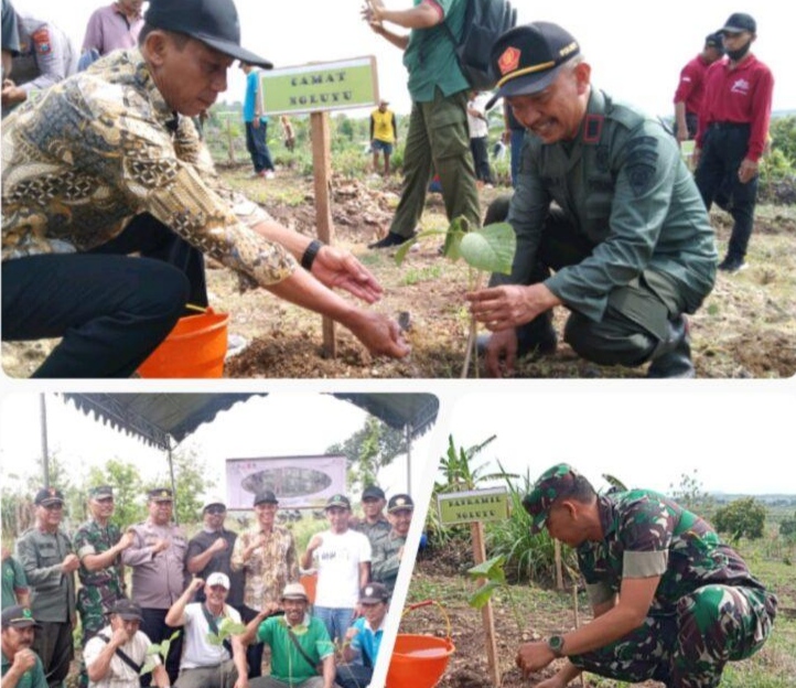 Perhutani Jombang Tanam 1000,Bibit JatiBetsama muspika Dan Masyarakat kecamatan Ngluyu Nganjuk