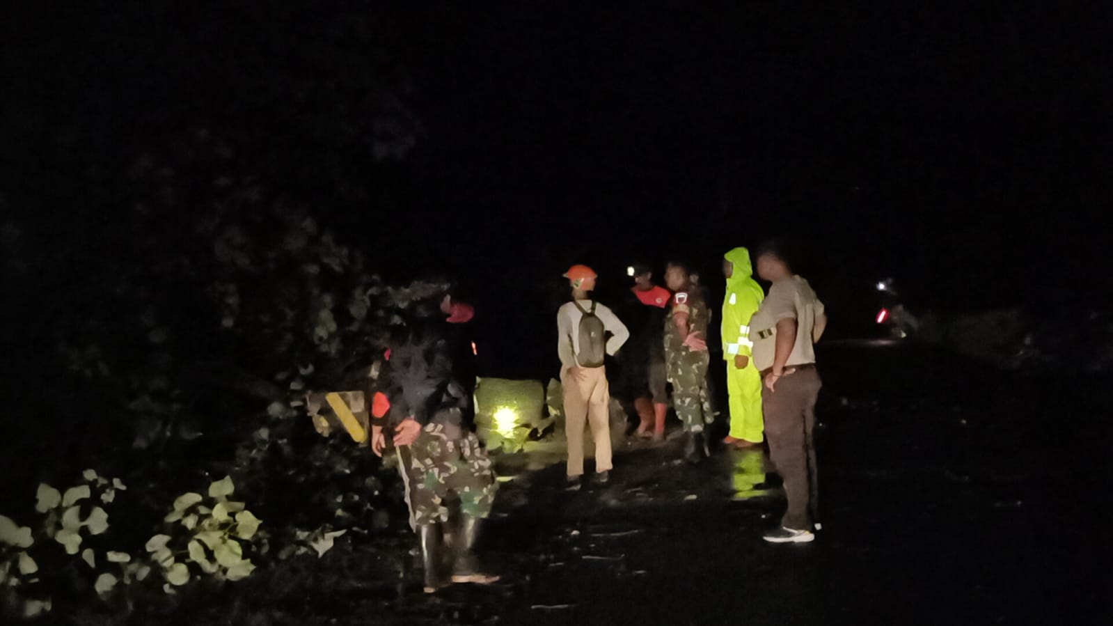 Polisi Ngawi Evakuasi Pohon Tumbang di Jalan Jogorogo