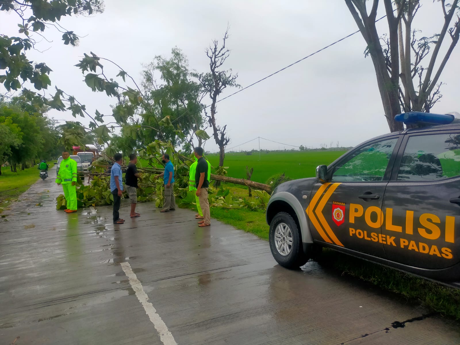 Gercep Polisi Ngawi Evakuasi 3 Pohon Tumbang di Padas