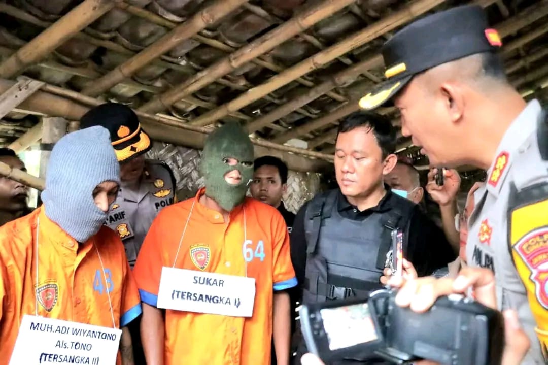 Polisi Berhasil Amankan Dua Tersangka Pencuri Sapi di Lumajang 