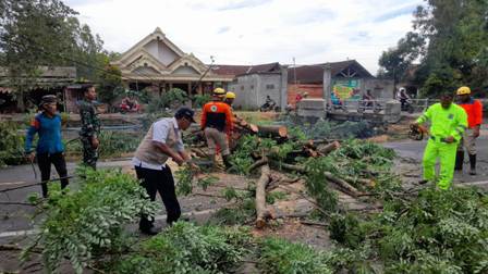 Gerak Cepat Polsek Bandung Bersama Dinas Terkait dan Warga Evakuasi Pohon Tumbang