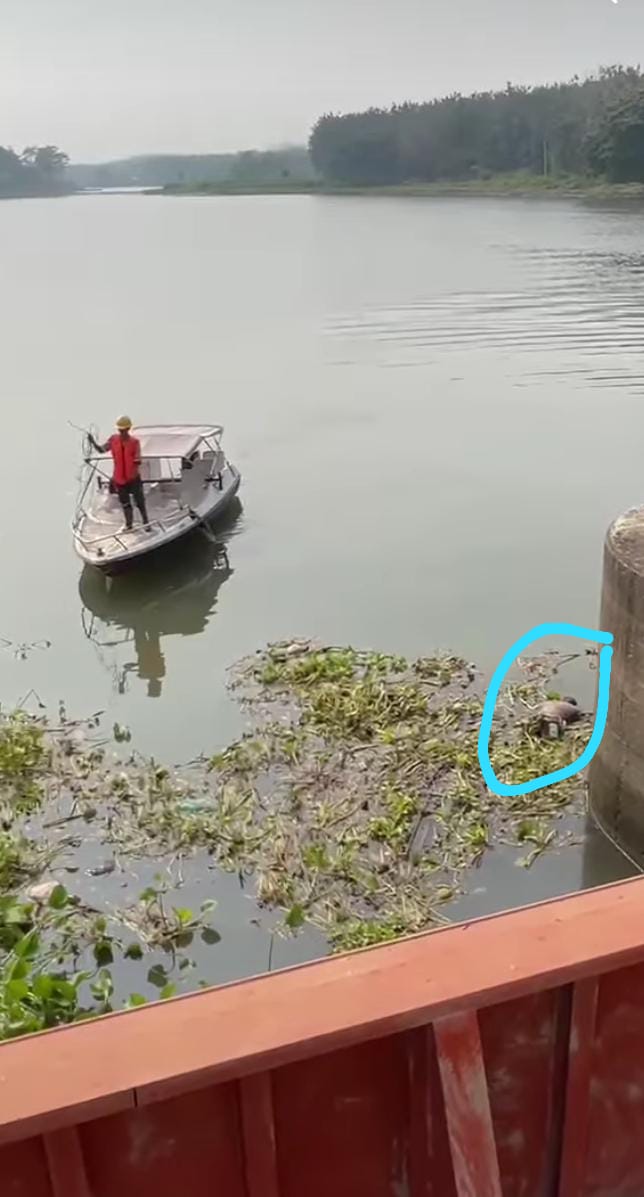 Penemuan Mayat  Di Pintu Air  Bendungan Serut Lodoyo