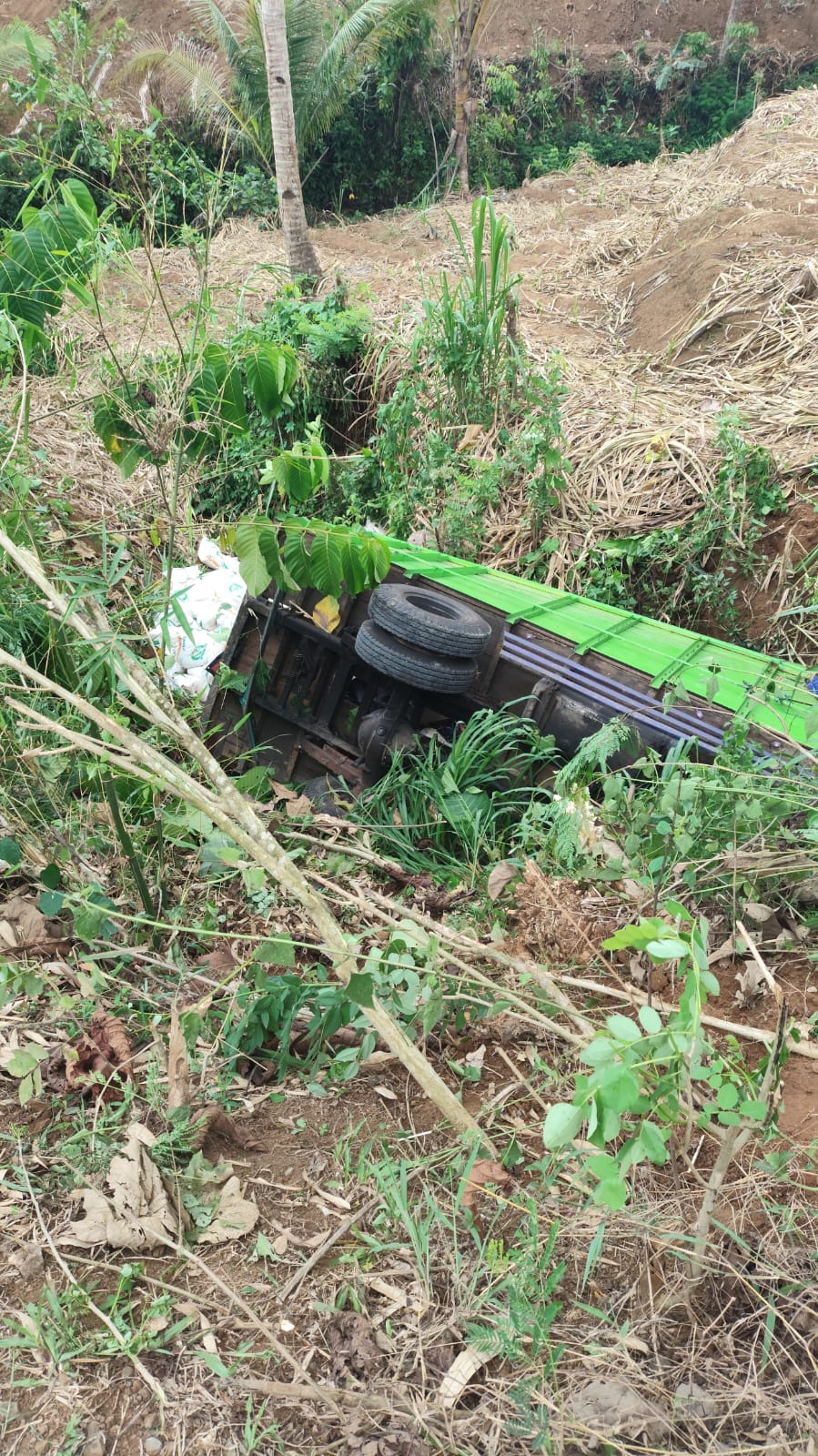 Truk Muatan Beras Gagal Nanjak, Tabrak Motor Dan Masuk Jurang