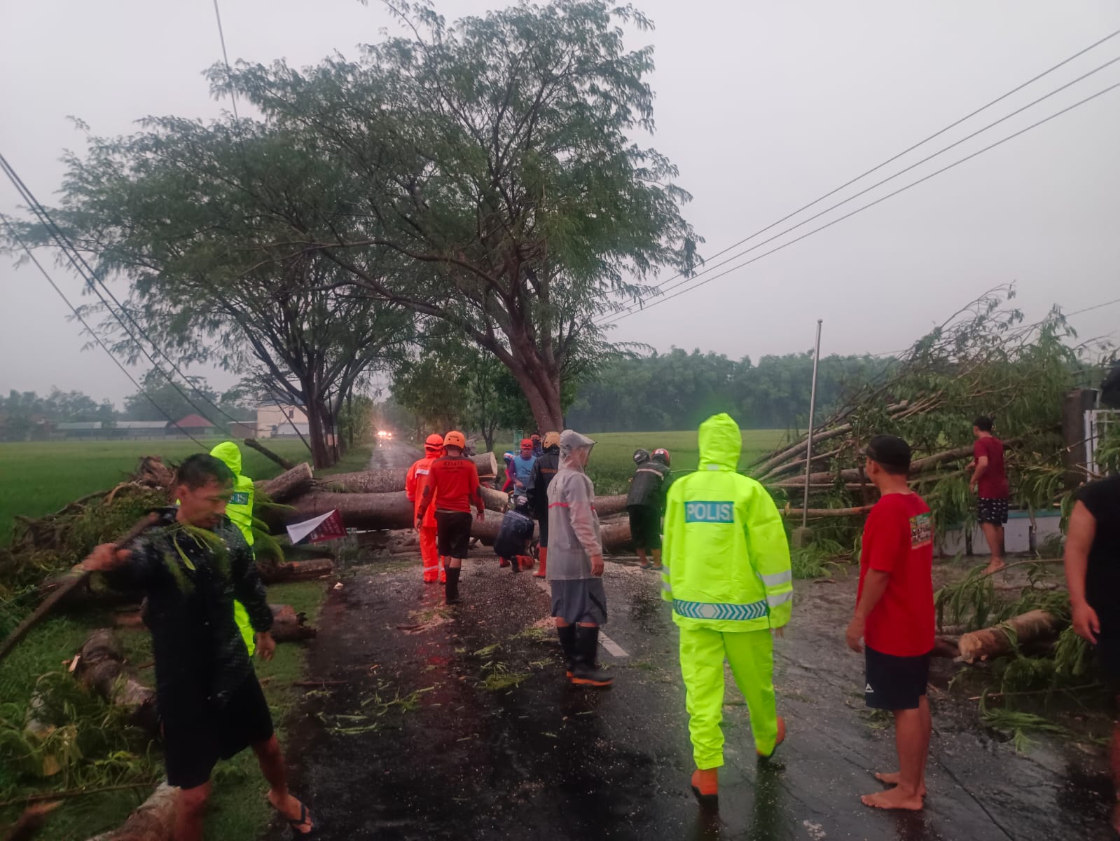 Gercep, Polsek Geneng Tangani Pohon Tumbang, Arus Lalin di Ngawi Kembali Lancar