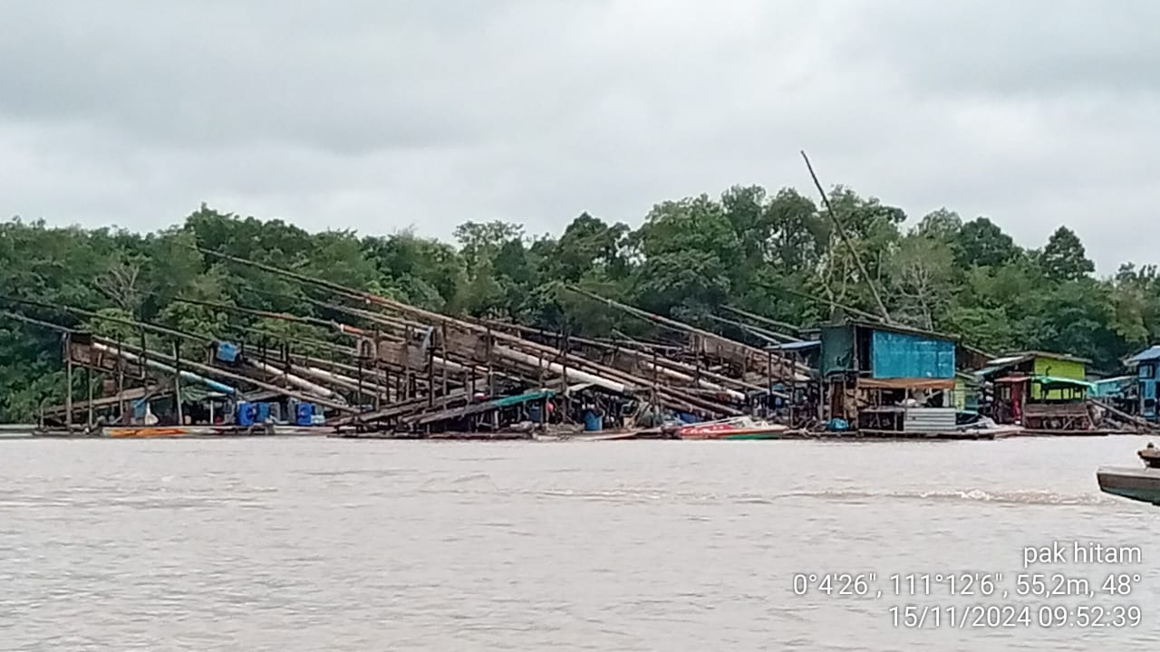 Di duga tambang emas ilegal di aliran sungai kapuas perbatasan kabupaten sekadau dan kabupaten sintang kalbar dugaan bukan bagian dari program 100 hari kerja presiden RI bapak prabowo subianto diduga aman dan tetap beroperasi