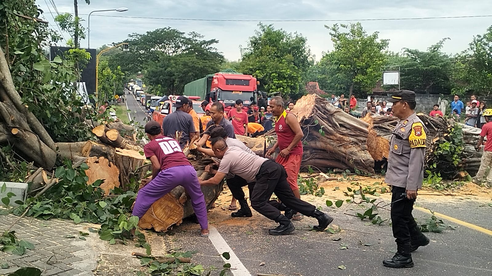 Evakuasi Pohon Tumbang Berlangsung Cepat, Arus Lalin di Ngawi Kembali Lancar