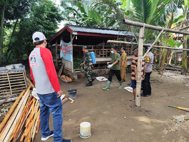 Cegah Penyebaran Virus PMK di Ngawi, Bhabinkamtibmas Gerih Lakukan Penyemprotan