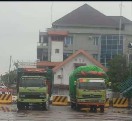 Di duga Kebal Hukum Oknum Importir Rotan ( D ) sebagai terlapor di dit reskrimum polda kalbar subdit 4 dan subdit 2 melaporkan pemilik rotan ke dit reskrimum polda kalbar subdit 3 dengan pasal yang sama 378.