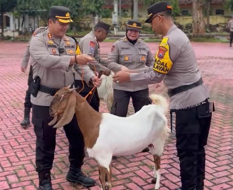 Dukung Ketahanan Pangan, Kapolres Sumenep Serahkan Bantuan 54 Ekor Kambing ke Polsek Jajaran