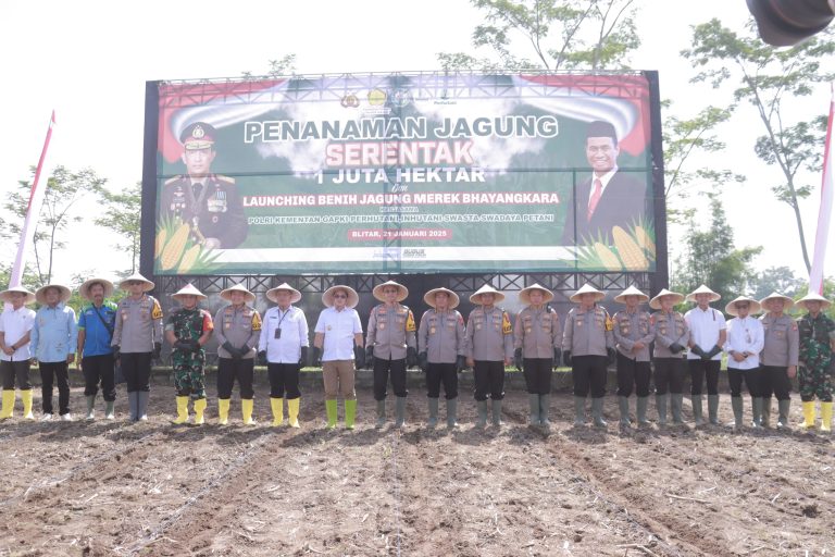 Kapolres Blitar Bersama Kapolda Jatim dan Forkopimda Jawa Timur Tanam Jagung Serentak 1 Juta Hektar Kegiatan dilanjutkan Launching benih jagung bhayangkara di Polres Blitar