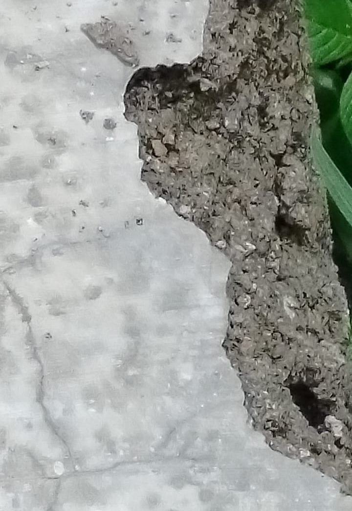 Proyek Irigasi P3-TGAI di Ngoran Disorot: Diduga Cuma Pasir, Kualitas Mutu Dipertanyakan Warga!